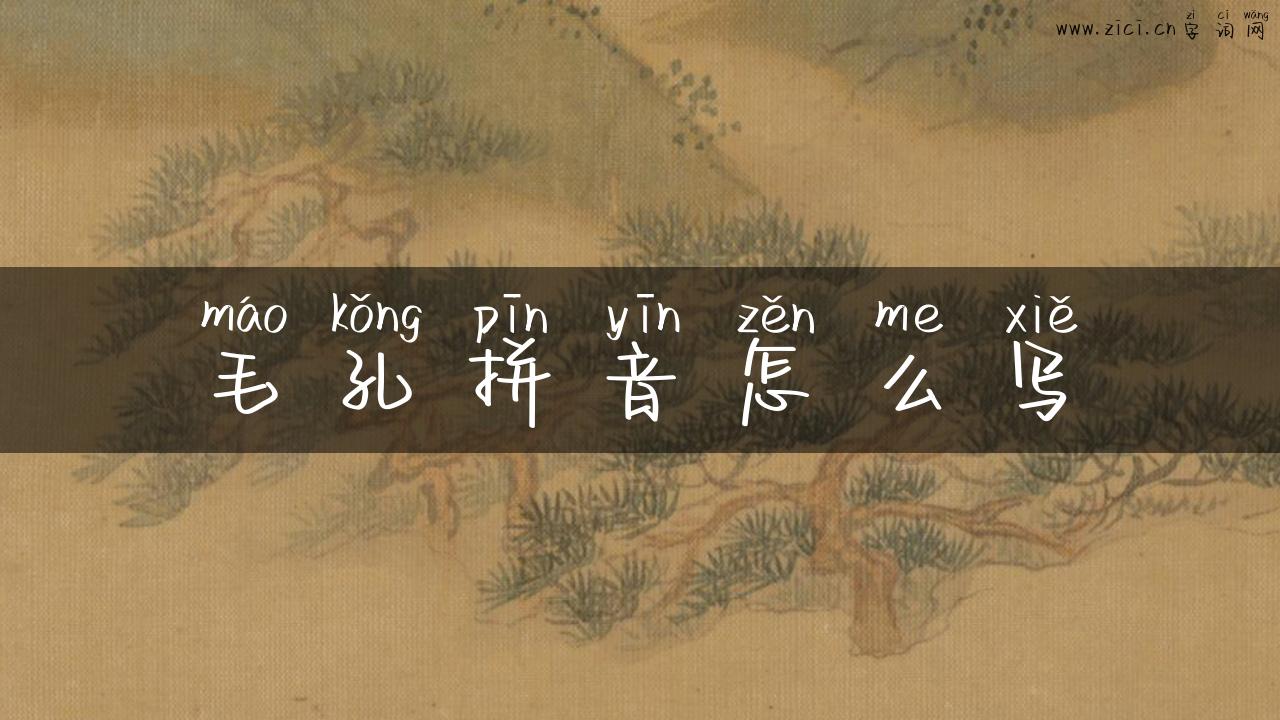 毛孔拼音怎么写