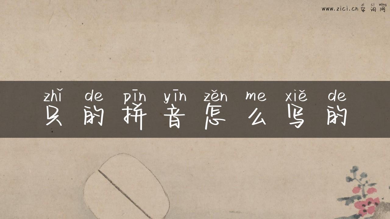 只的拼音怎么写的