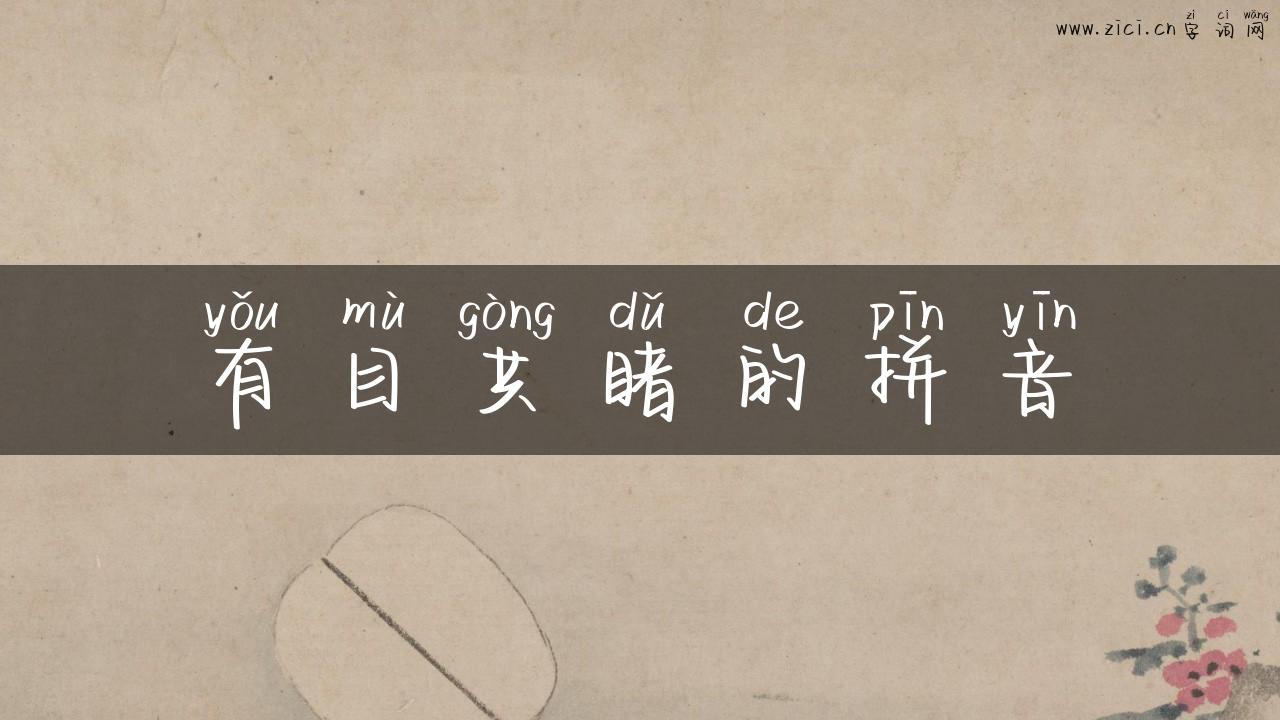 有目共睹的拼音