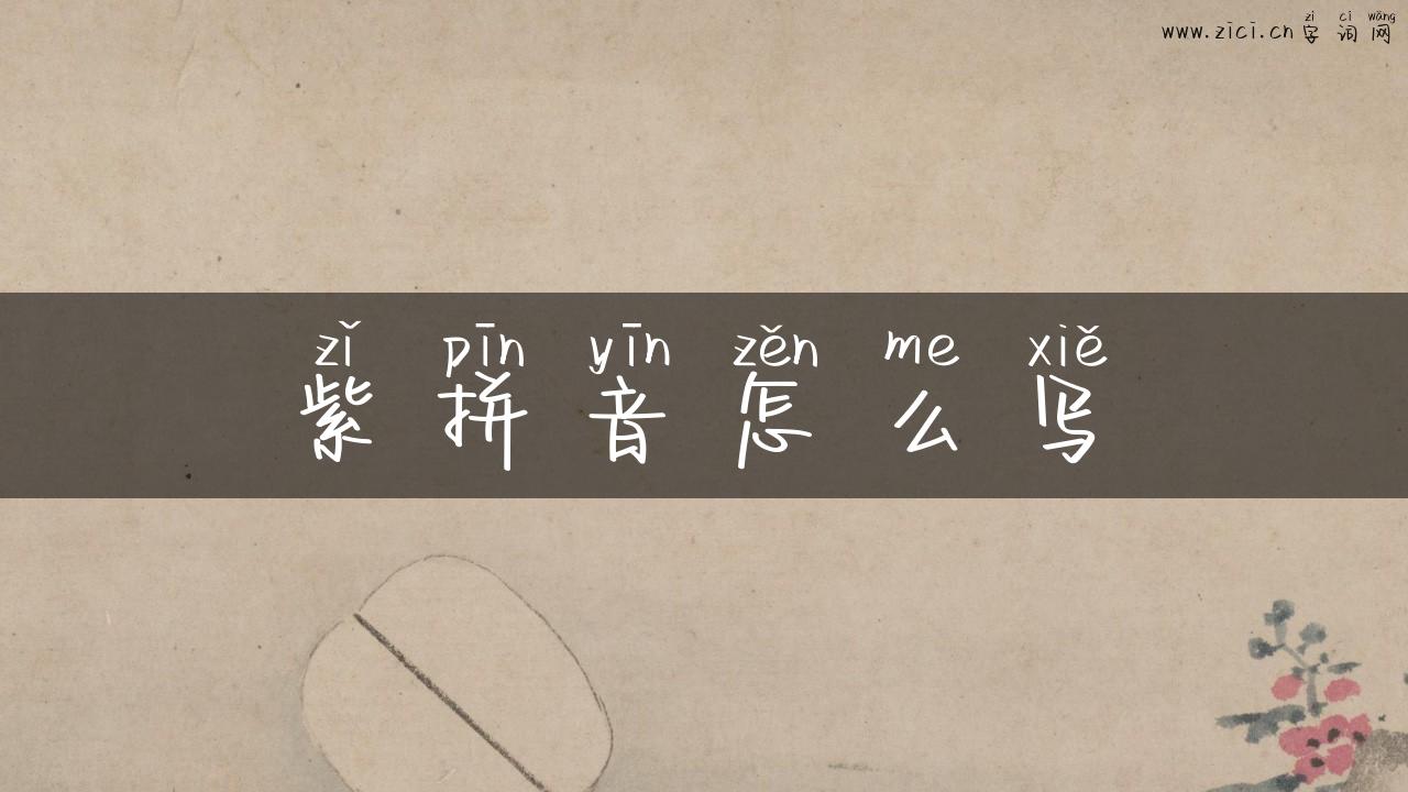 紫拼音怎么写