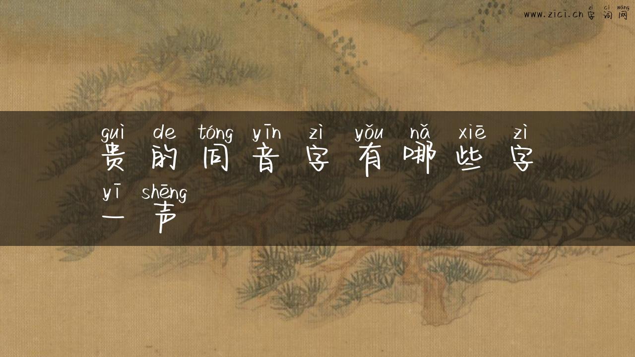 贵的同音字有哪些字一声