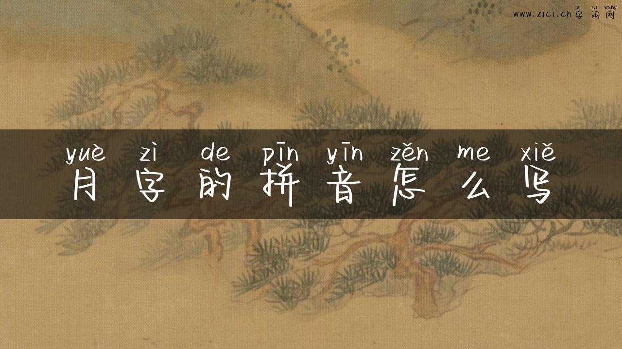 月字的拼音怎么写