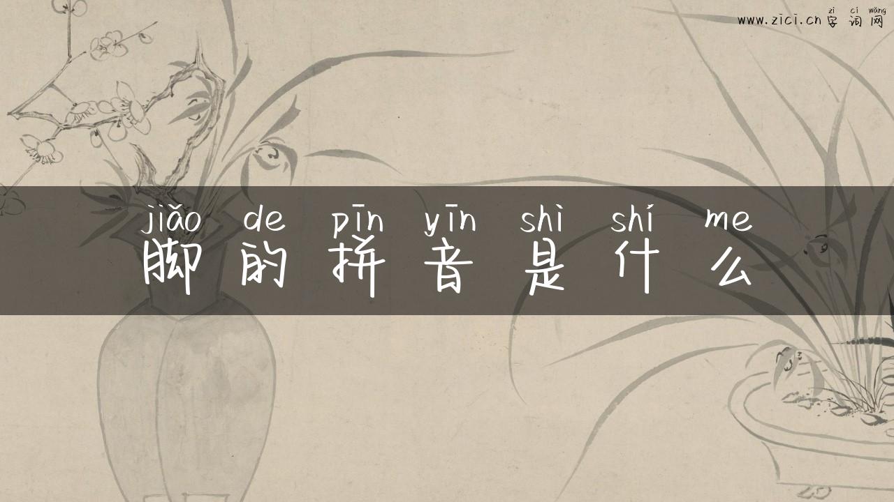 脚的拼音是什么