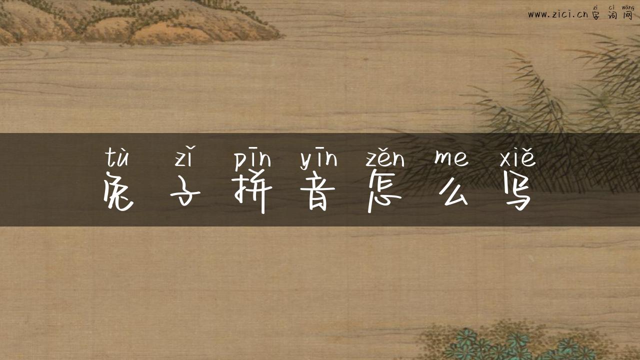 兔子拼音怎么写