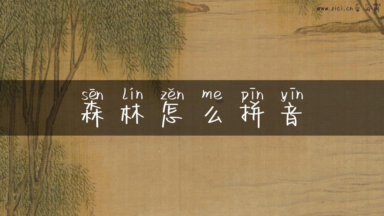 森林怎么拼音