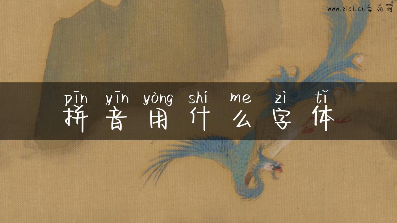 拼音用什么字体