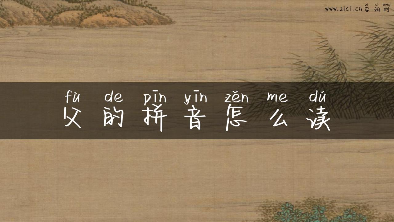 父的拼音怎么读
