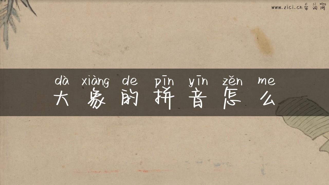大象的拼音怎么