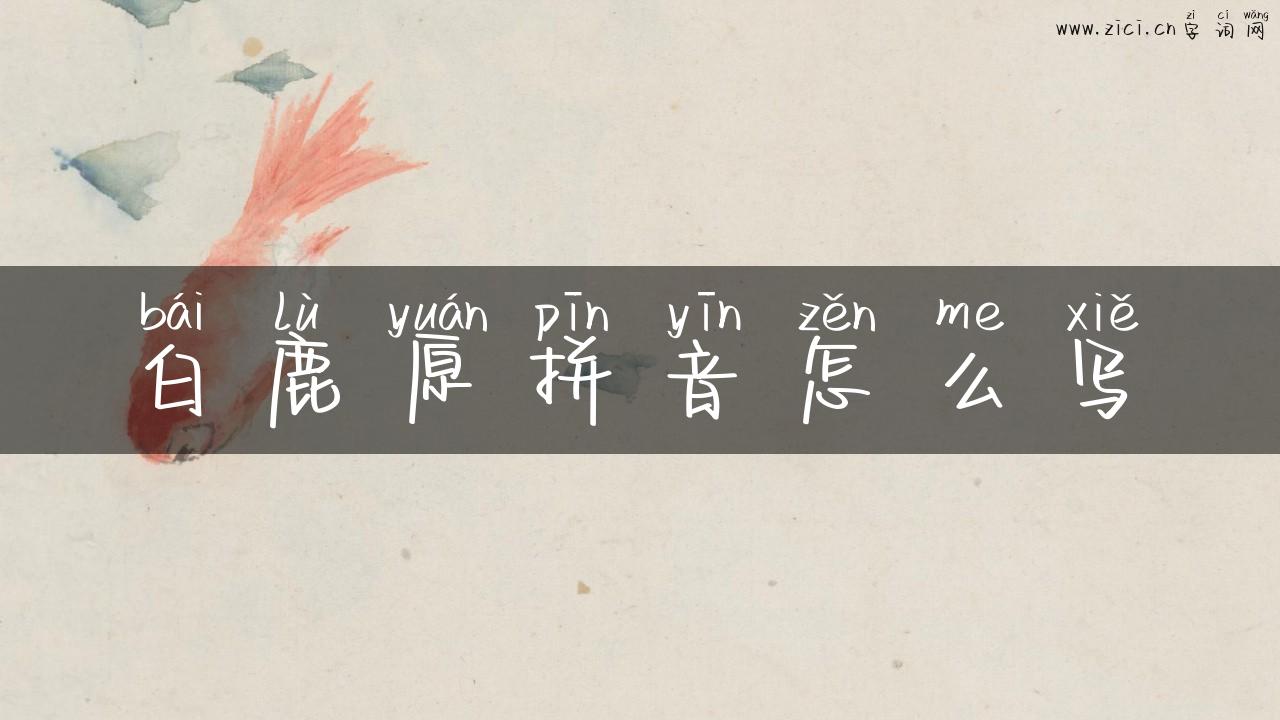 白鹿原拼音怎么写