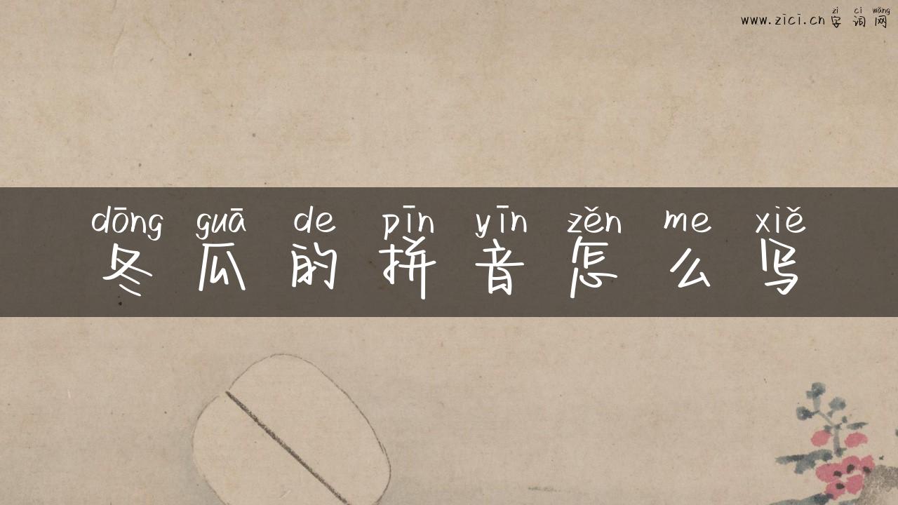 冬瓜的拼音怎么写