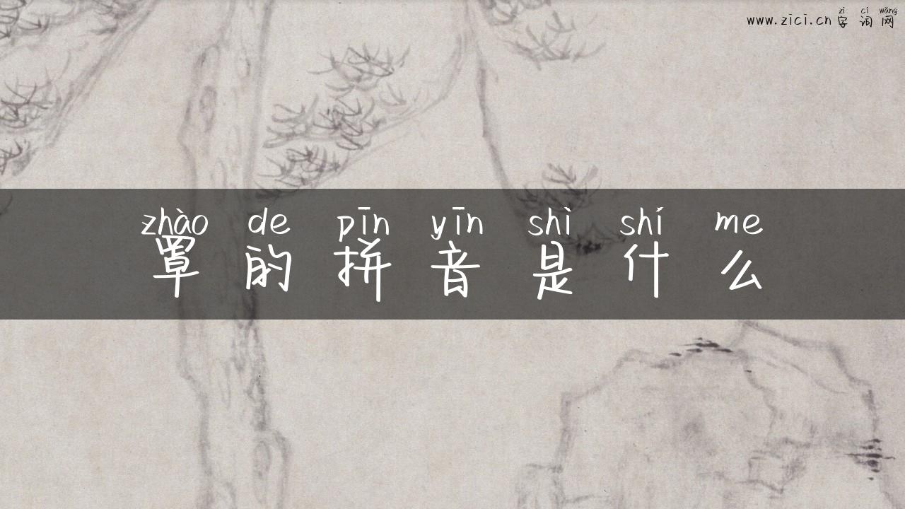 罩的拼音是什么