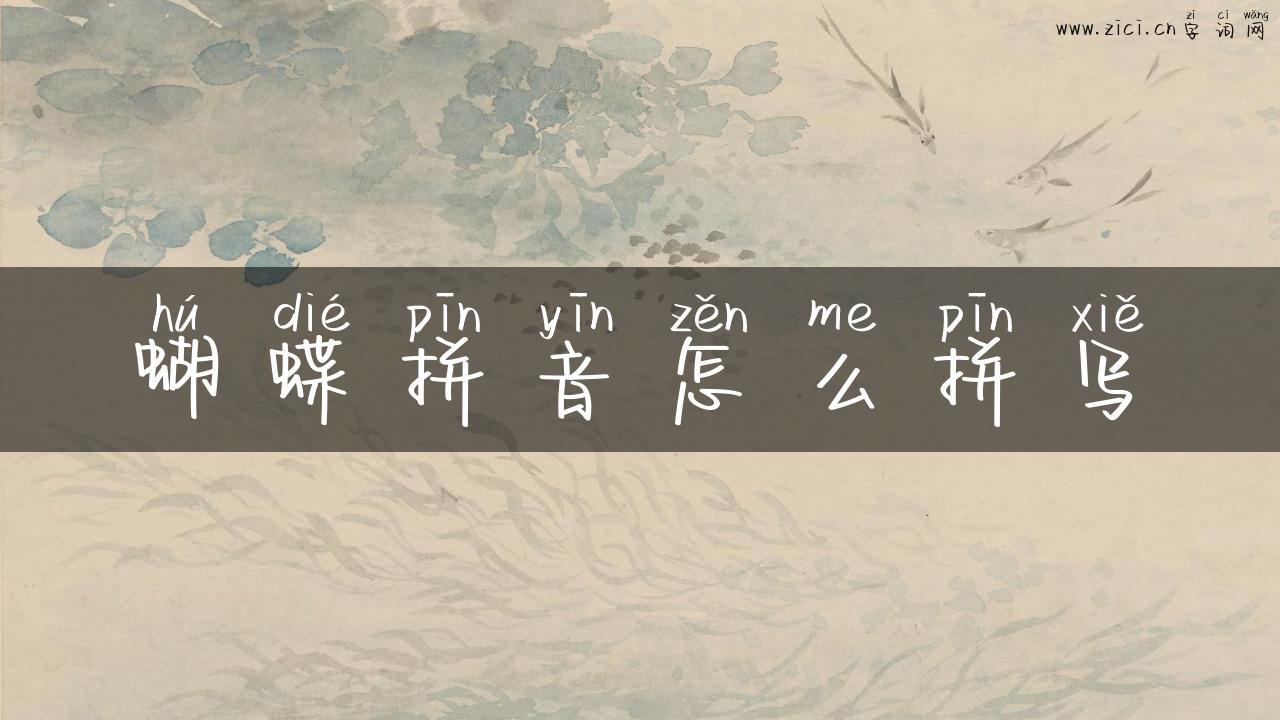 蝴蝶拼音怎么拼写