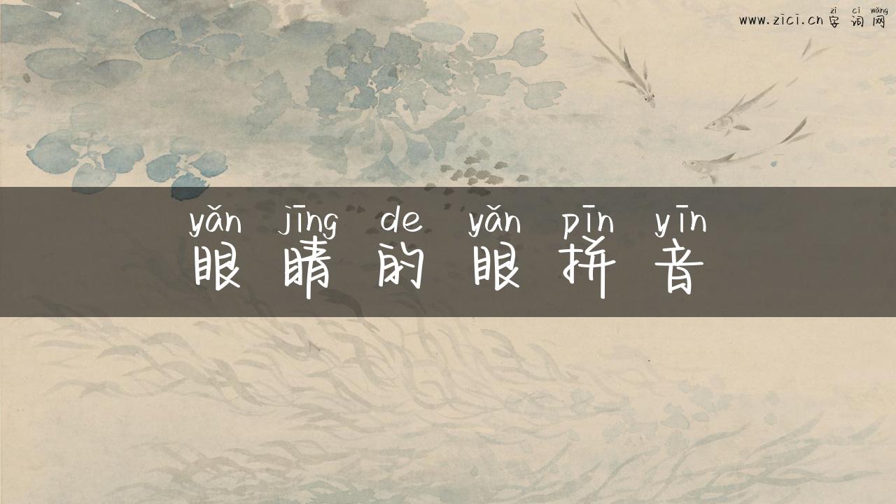 眼睛的眼拼音