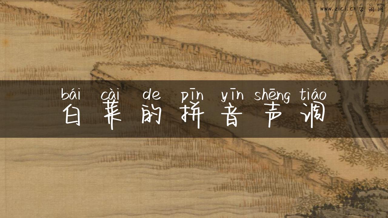 白菜的拼音声调