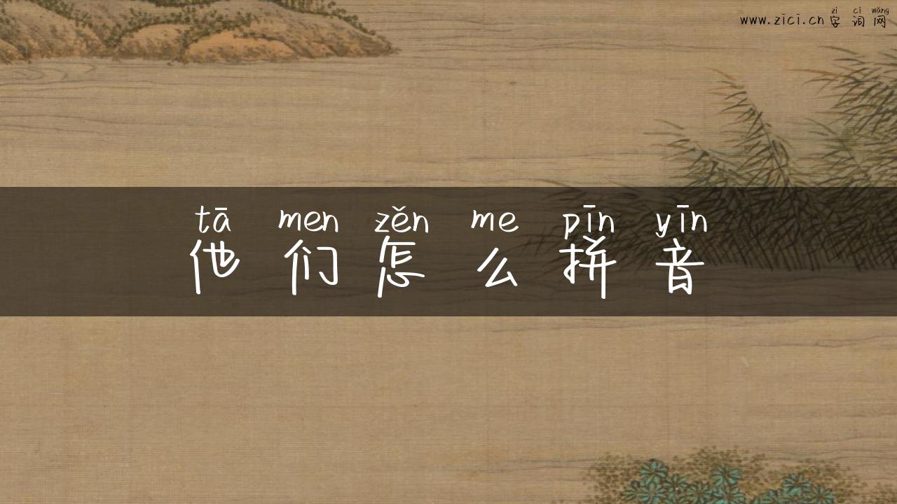 他们怎么拼音