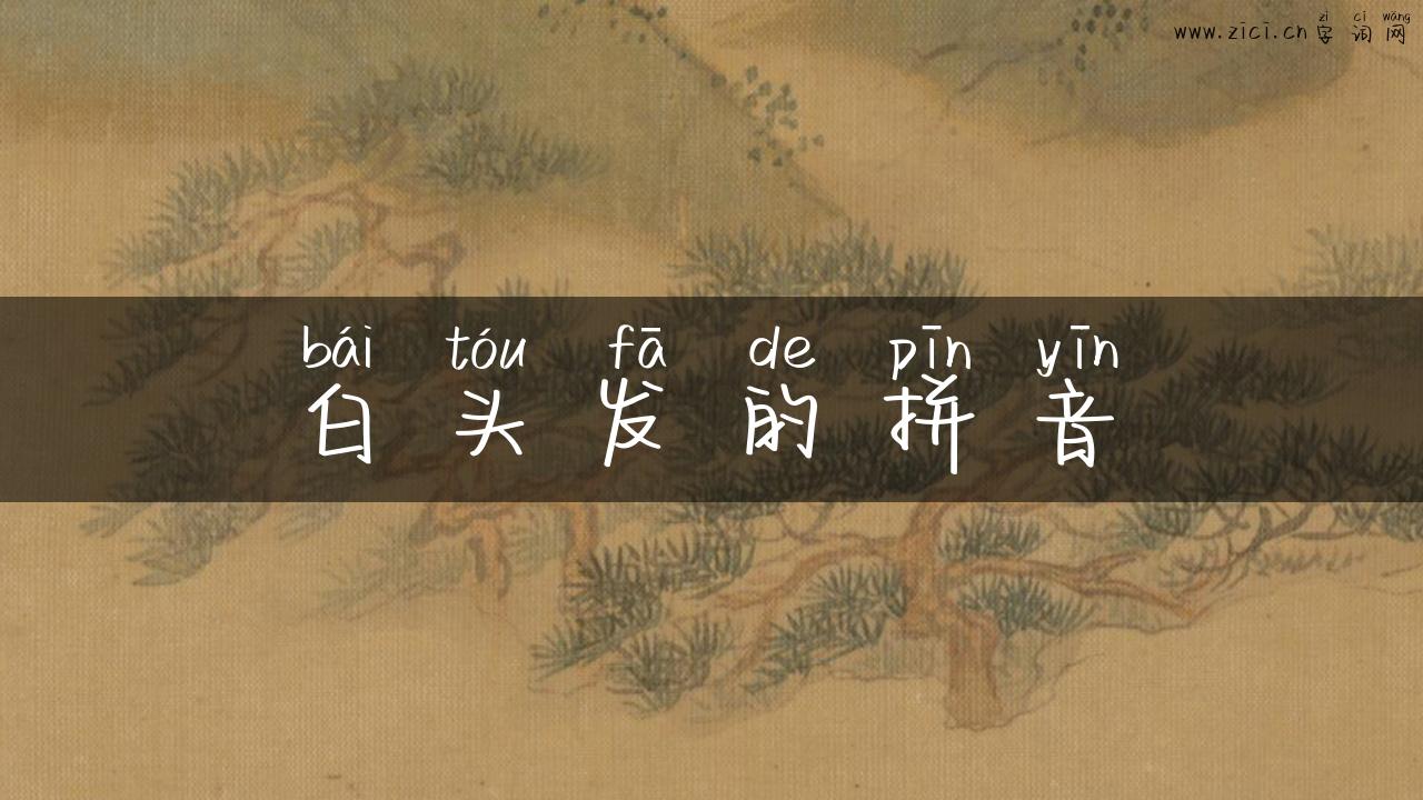 白头发的拼音