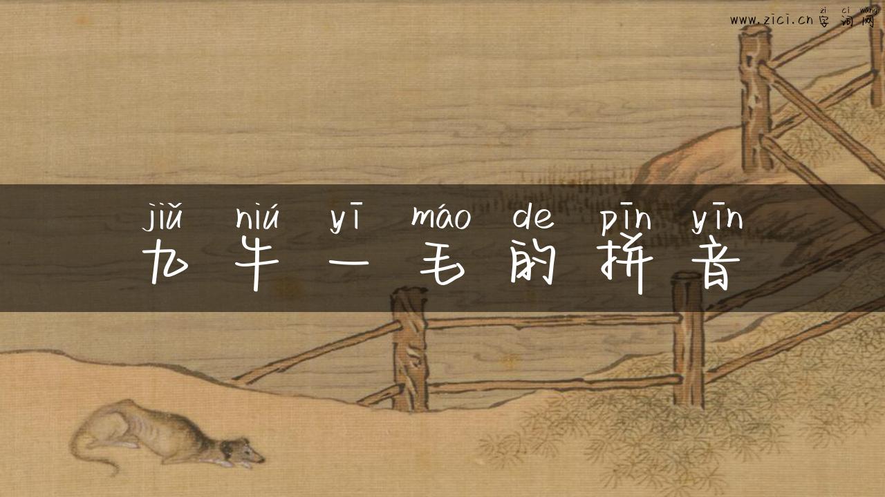 九牛一毛的拼音