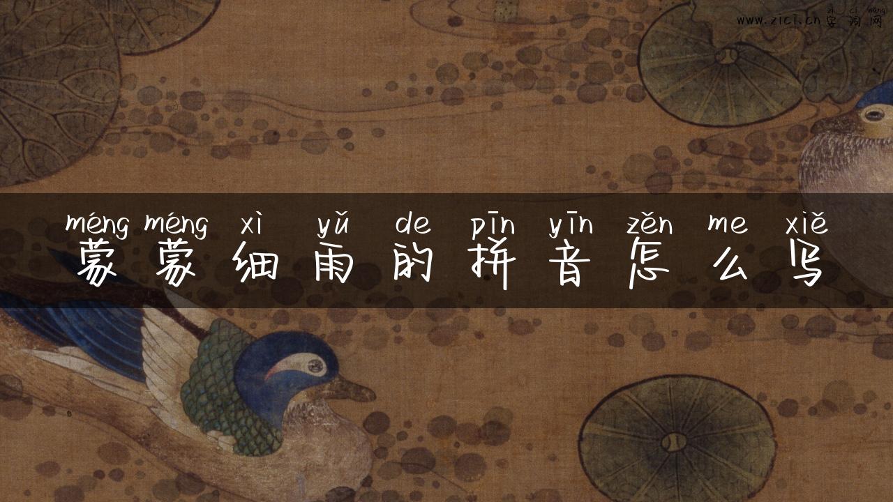 蒙蒙细雨的拼音怎么写