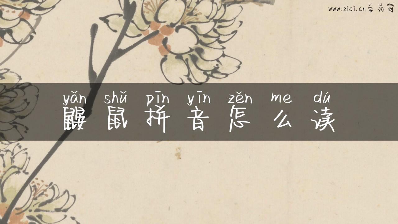 鼹鼠拼音怎么读