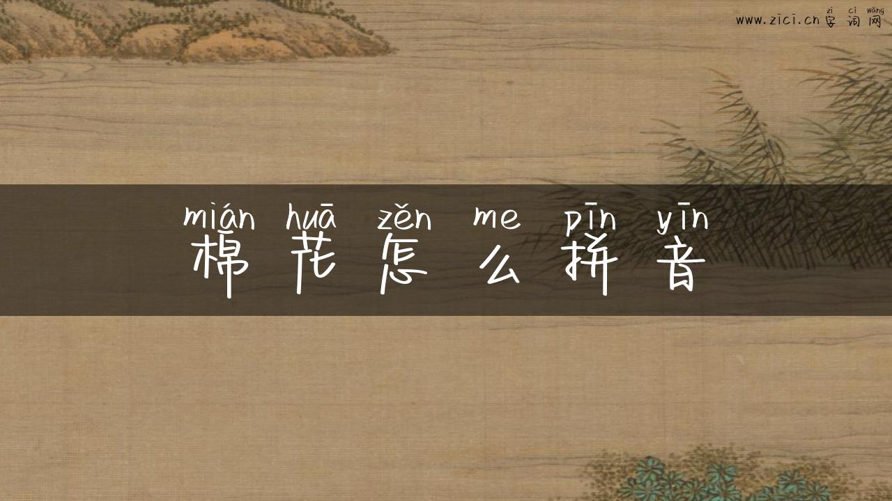 棉花怎么拼音