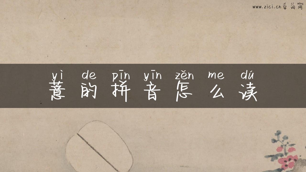 薏的拼音怎么读