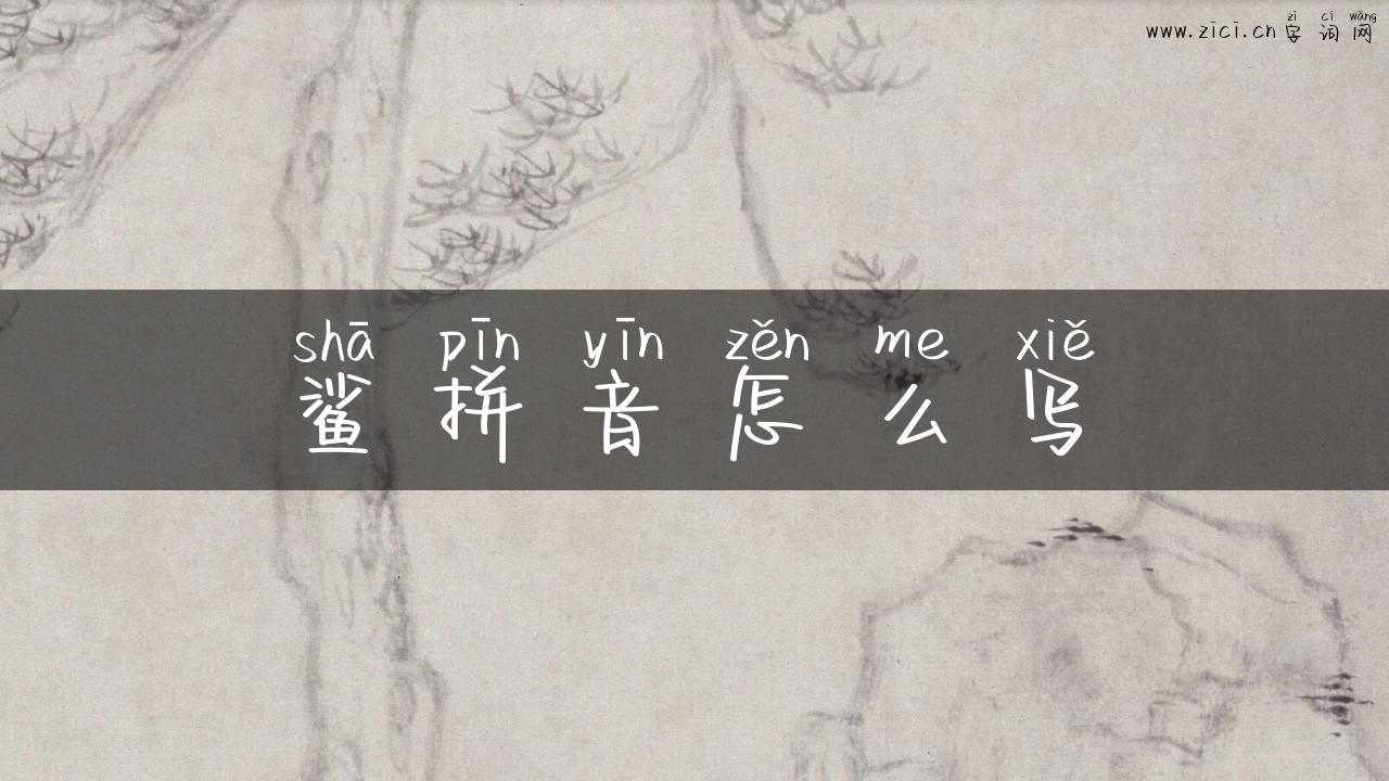 鲨拼音怎么写