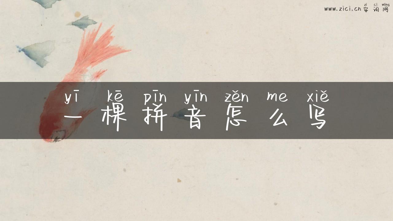 一棵拼音怎么写