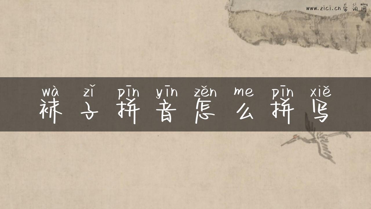 袜子拼音怎么拼写