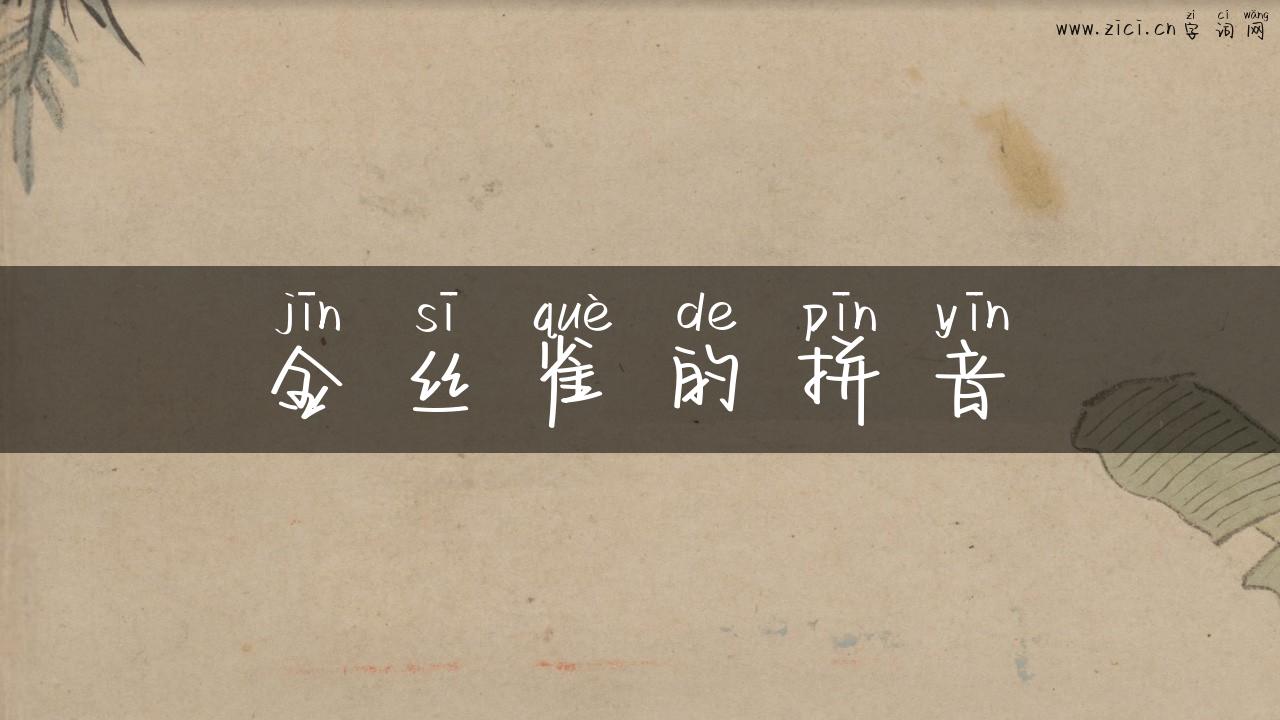 金丝雀的拼音