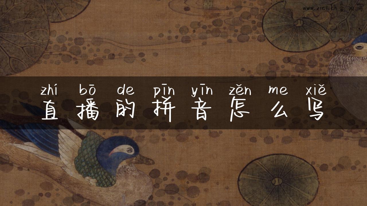 直播的拼音怎么写
