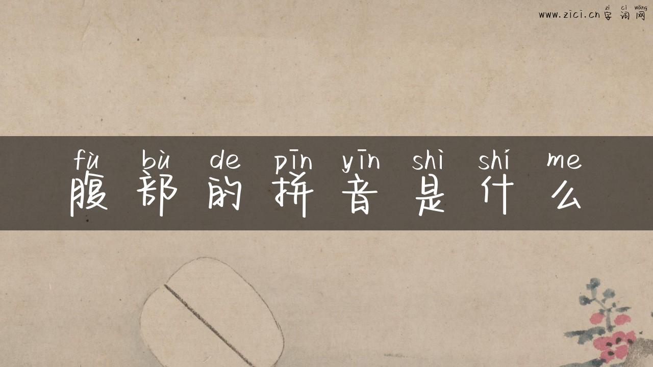 腹部的拼音是什么