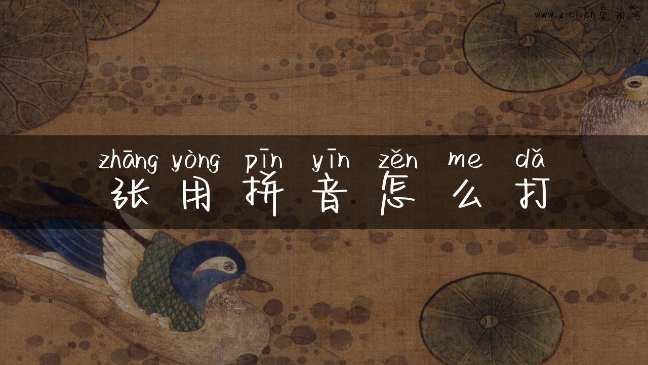 张用拼音怎么打