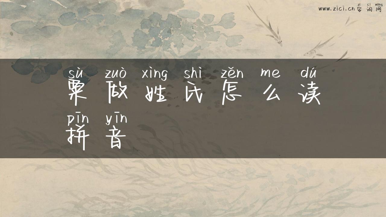 粟做姓氏怎么读拼音