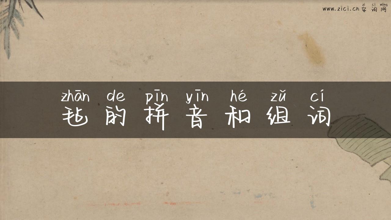 毡的拼音和组词
