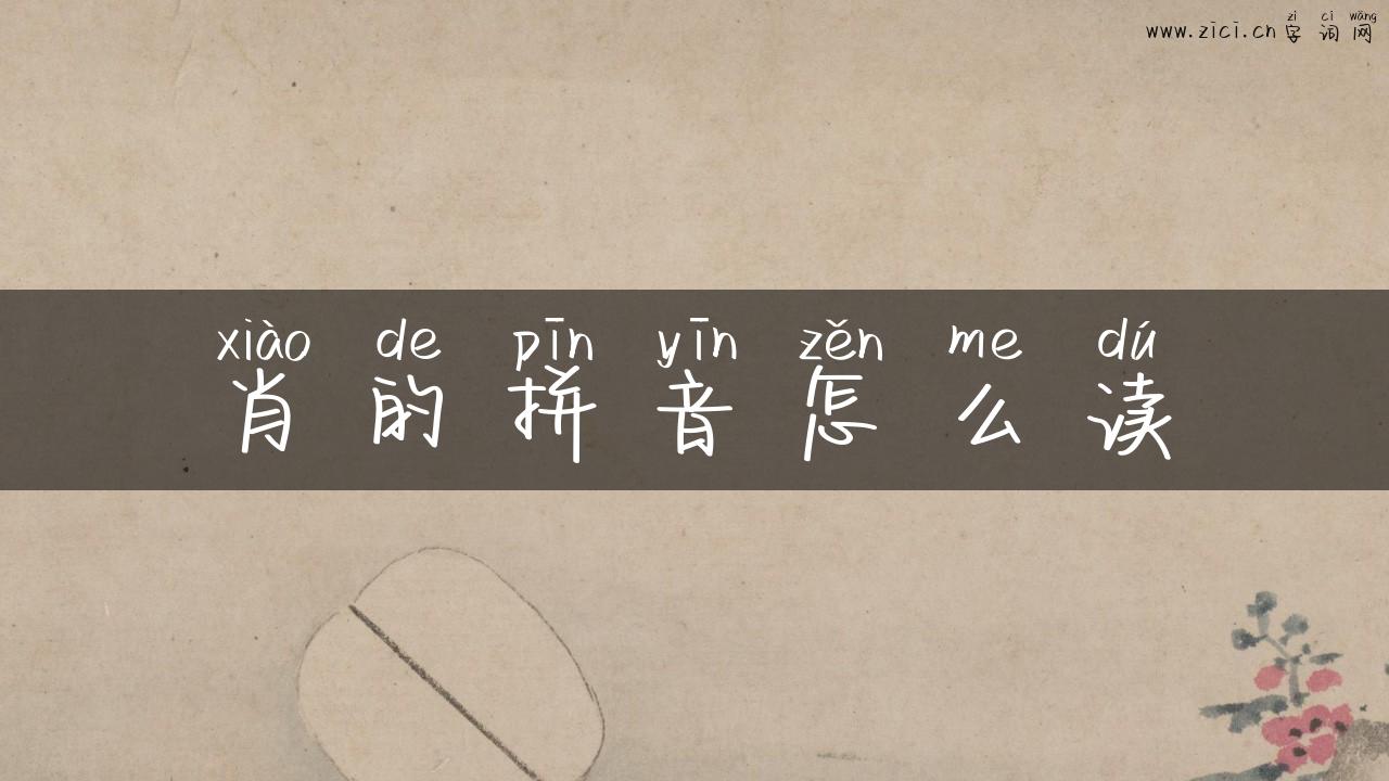 肖的拼音怎么读