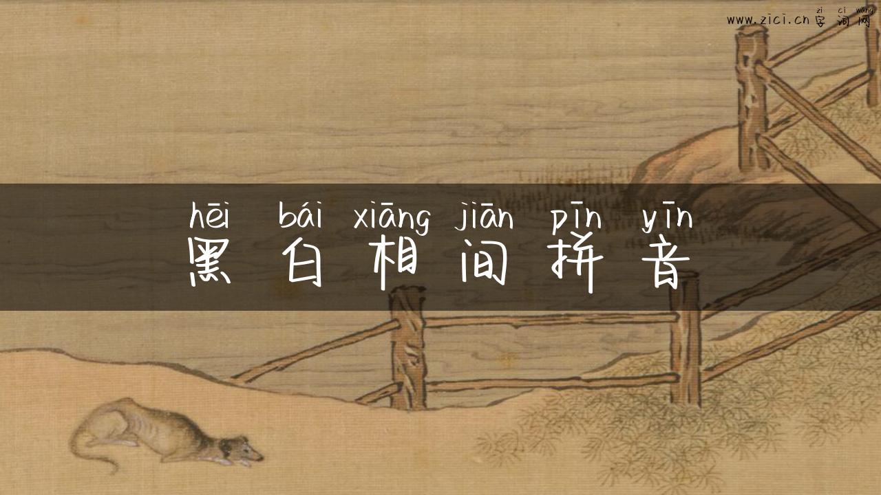 黑白相间拼音
