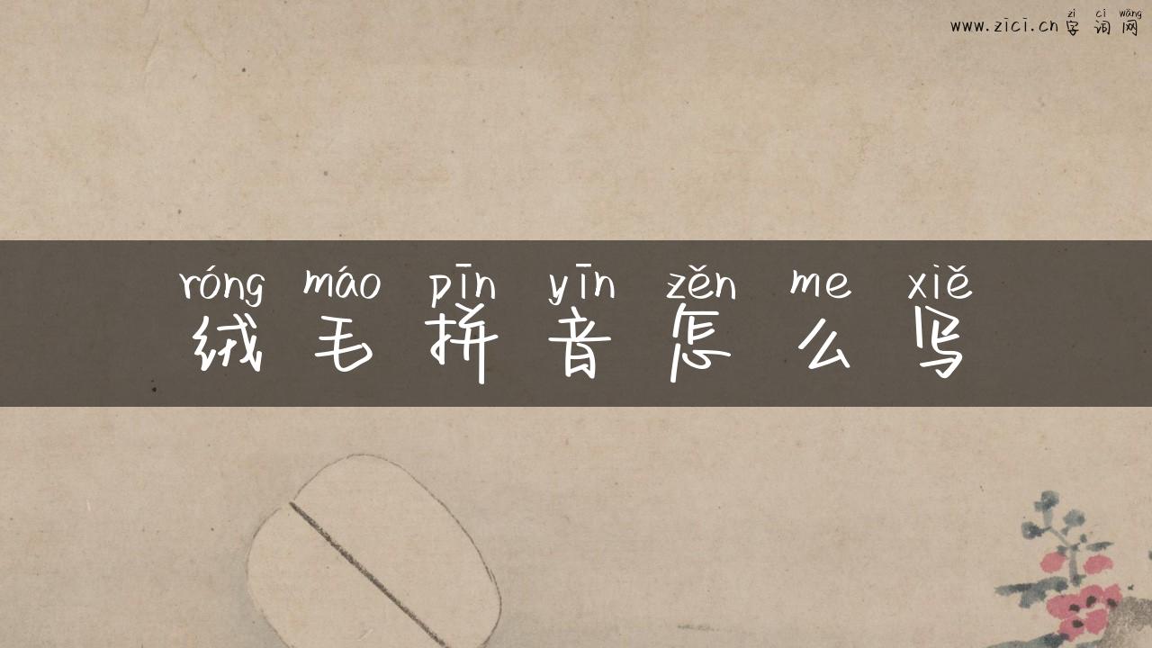 绒毛拼音怎么写