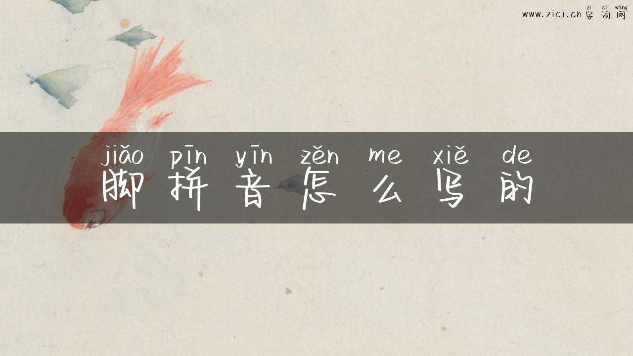 脚拼音怎么写的