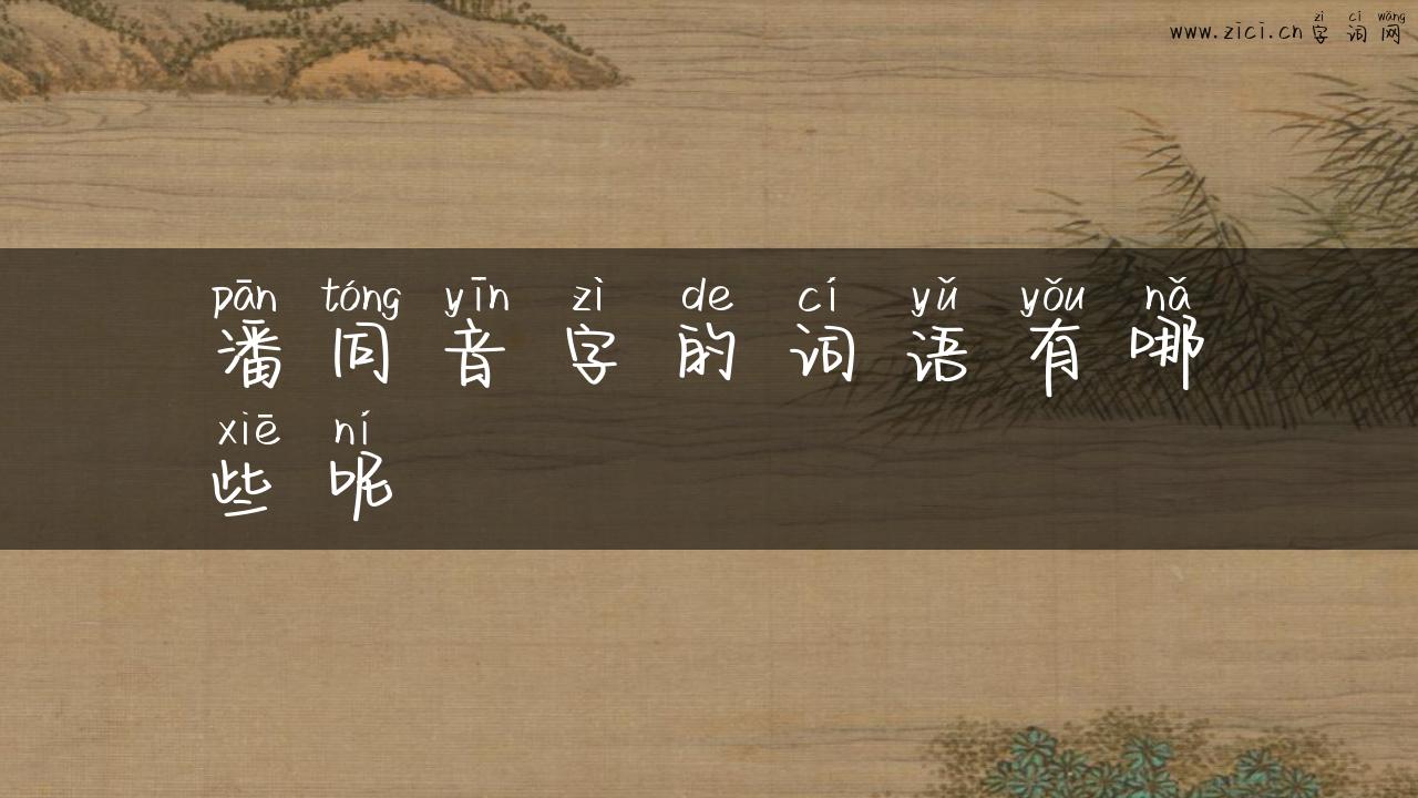 潘同音字的词语有哪些呢