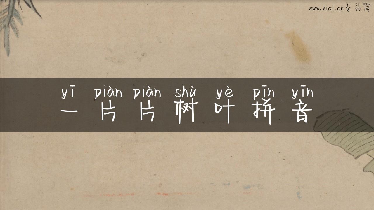 一片片树叶拼音