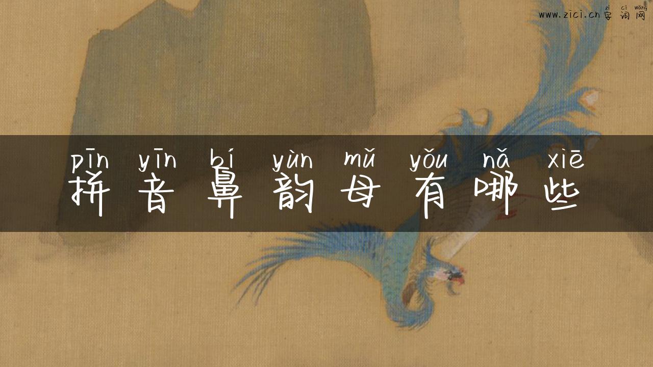 拼音鼻韵母有哪些