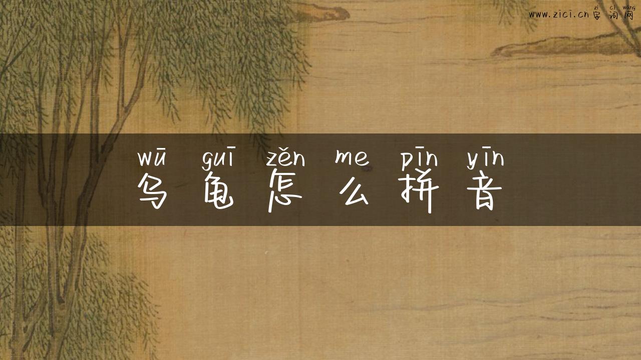 乌龟怎么拼音