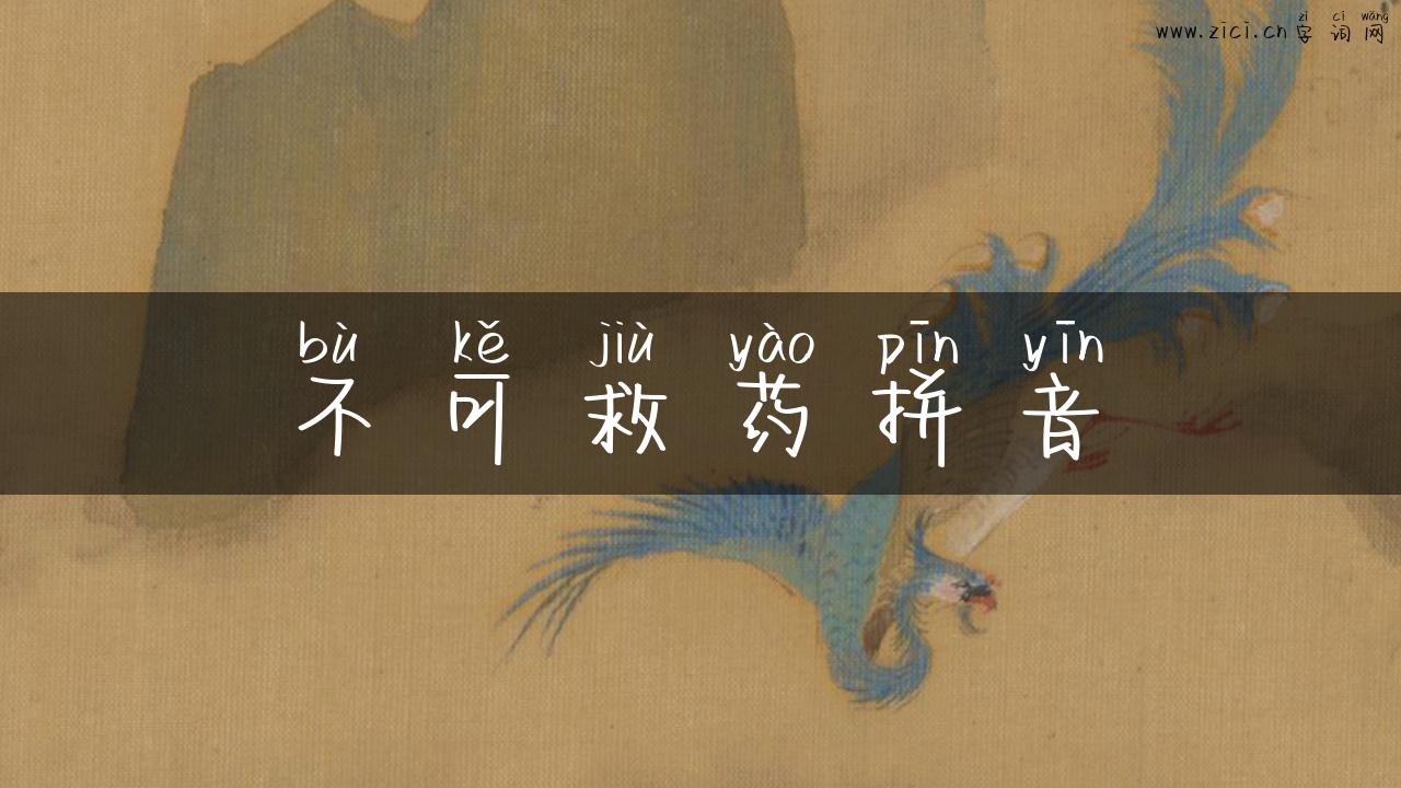 不可救药拼音