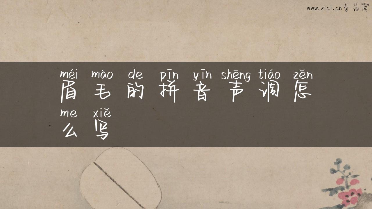 眉毛的拼音声调怎么写