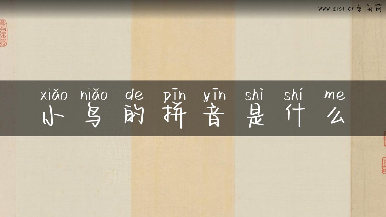 小鸟的拼音是什么