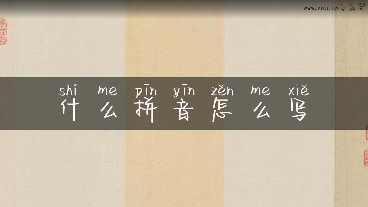 什么拼音怎么写
