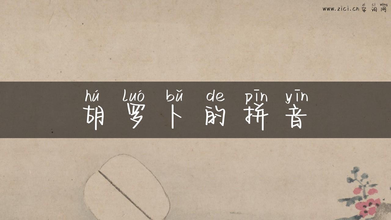 胡罗卜的拼音