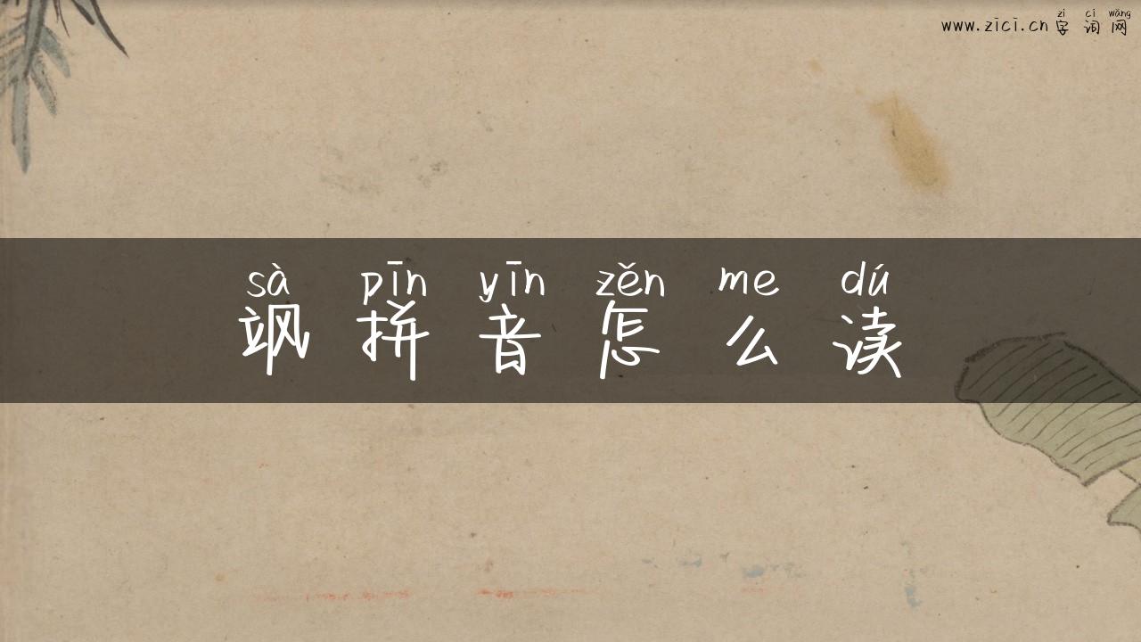 飒拼音怎么读