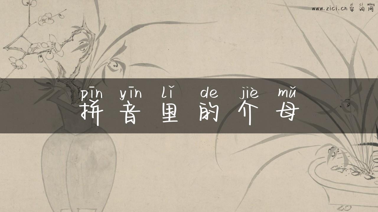 拼音里的介母