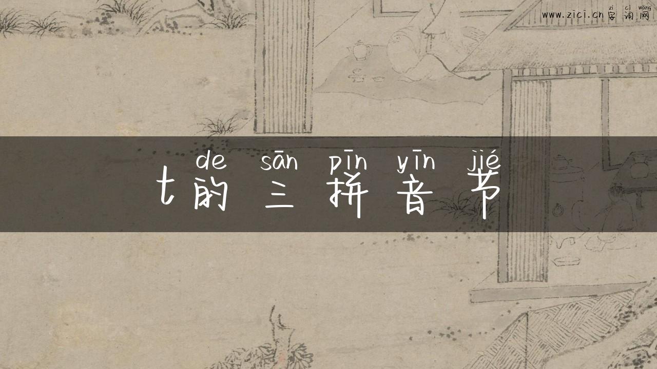 t的三拼音节